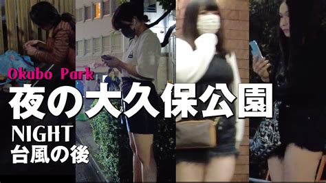 【4k】tokyo Nightwalk 大久保公園周辺 【夜の新宿さんぽ】たち ぼ2022年9月台風が過ぎ去ったので散歩 September