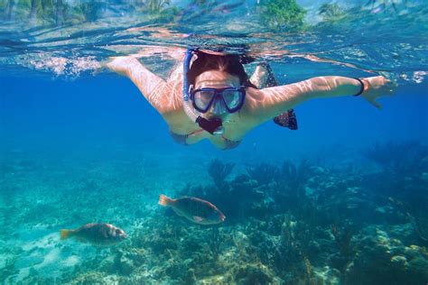 Tips para hacer snorkel en Cancún Aquaworld