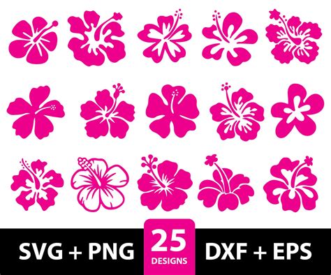 Hibiscus Flower Svg Hibiscus Svg Bundle Hawaiian Flower Svg Hibiscus