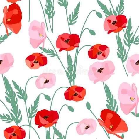 Seamless Vector Pattern Of Poppy Flowers On White Background For