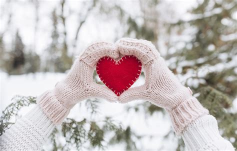 Free Download Wallpaper Winter Snow Love Heart Tree Red Love Heart