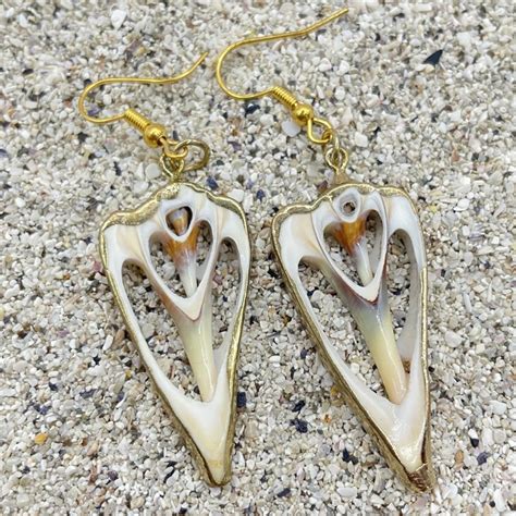 Gold Trim Seashell Earrings Golden Hooks Seashell Story Kaikoura