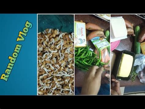 Random Vlog Vegetables Organisation Mulaikattiya Kollu Payaru