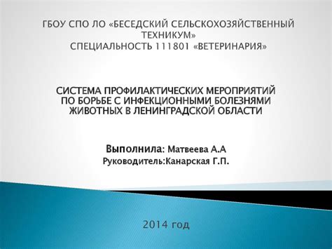 Система профилактических мероприятий по борьбе с инфекционными ...