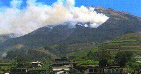 Hektar Hutan Gunung Sumbing Ludes Terbakar Info Seputar Magelang