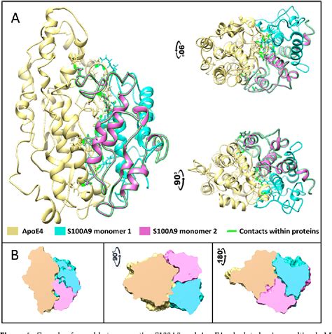 Figure From Apoe Isoforms Inhibit Amyloid Aggregation Of