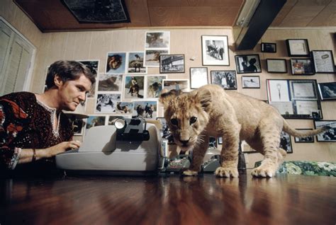 Tippi Hedren and Melanie Griffith's pet, Neil the lion | Pet lion, Pets ...