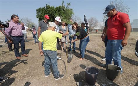 Reforestan lote baldío en la colonia Arboledas de Jacarandas El Sol