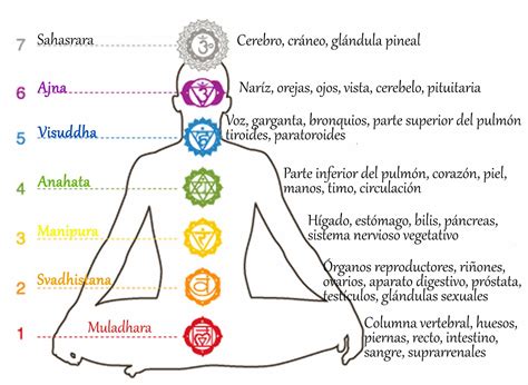 Conoce Los Chakras De Tu Cuerpo Karaxa Magazine