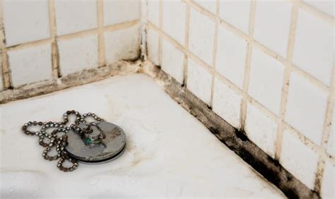 How To Remove Mold From Bathroom Tile Grout Semis Online