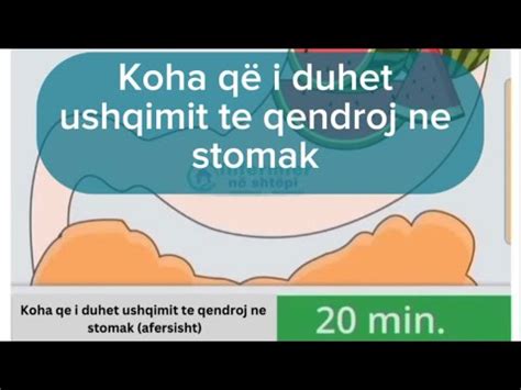 Koha Qe I Duhet Ushqimit Te Qendroj Ne Stomak Infermier Ne Shtepi