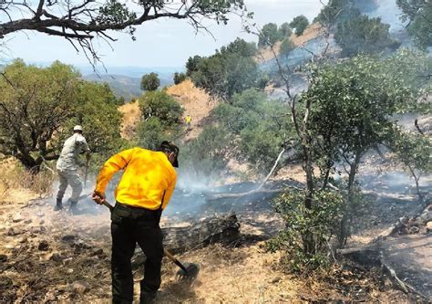 Miles De Hect Reas Destruidas Ante Los Incesantes Incendios