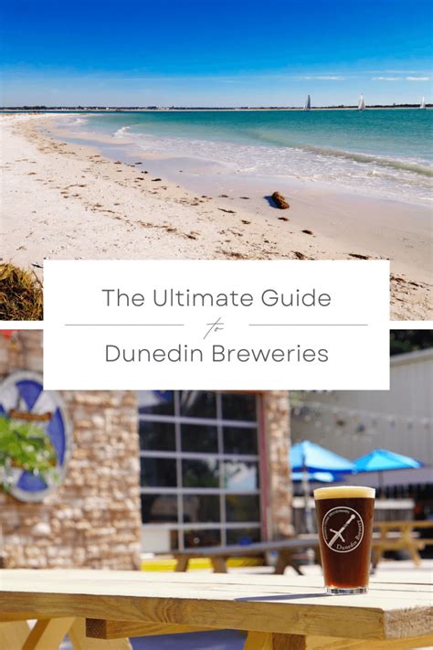 Dunedin Breweries Guide 3 Best Complete List Map Trail 2025