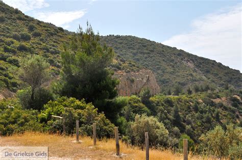 Potos Thassos Urlaub In Potos Griechenland