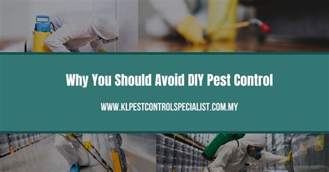 Why You Should Avoid Diy Pest Control Kl Pest Control Specialist