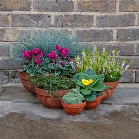 Terracotta Ribbed Bowl D Cm X H Cm The Boma Garden Centre