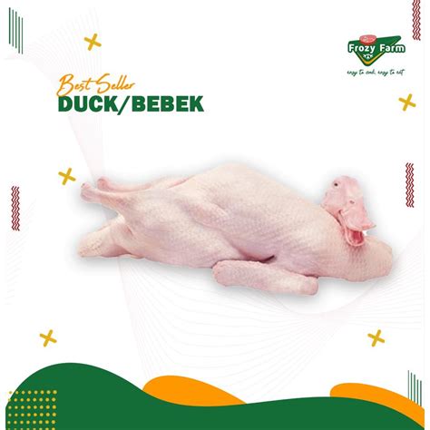 Jual Daging Bebek Kg Premium Grade A Super Frozen Fresh Segar Peking