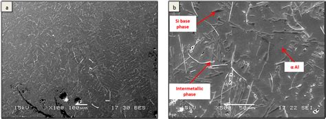 Metals Free Full Text Corrosion Behavior Of Alsi10mg Alloy Produced