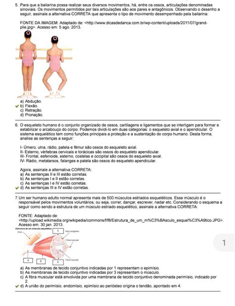 Exercicios Sobre Fisiologia Humana Fdplearn