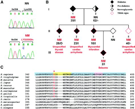 SLC19A2 mutation in a family with autosomal dominant diabetes. A ...