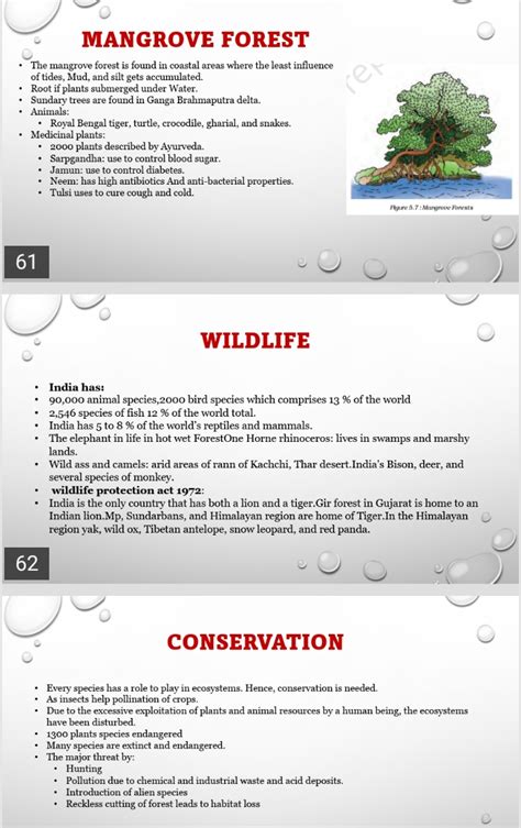 9th Natural Vegetation And Wildlife Page 6 Social Science Notes