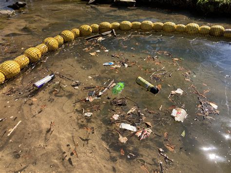 Learn about ways to protect our water at upcoming Walnut Creek Preserve