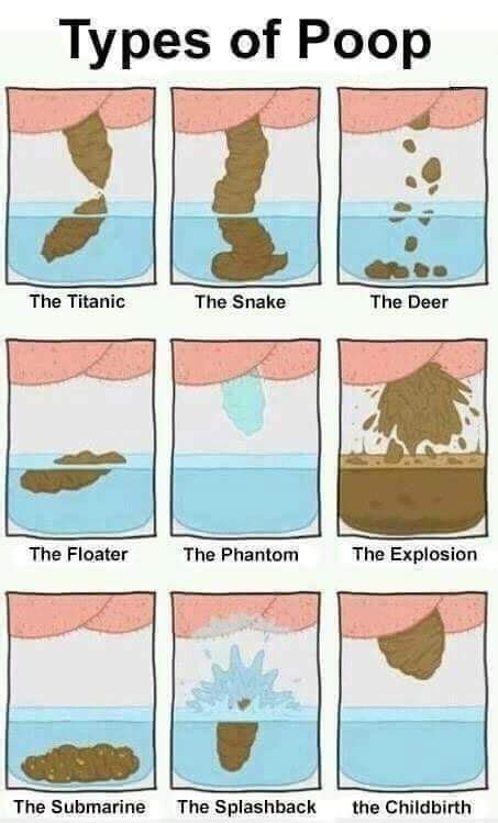 Different Types Of Poop | Funlexia - Funny Pictures