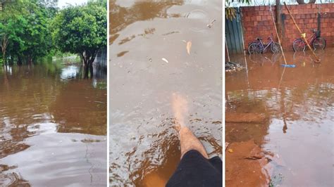 Chuva em Guará deixa ruas e casas alagadas no bairro Nossa Senhora das