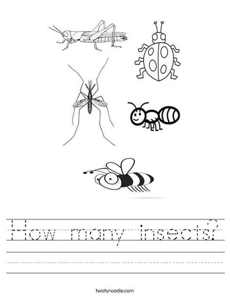 Insect Worksheets Kindergarten