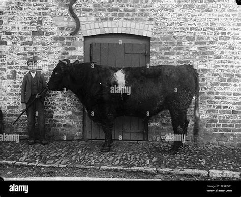 Foulkes Hi Res Stock Photography And Images Alamy