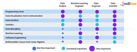 10 Data Scientist Skills You Must Have In 2025 Intellipaat Blog