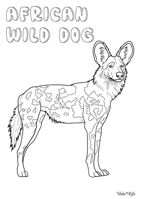 African Wild Dog Coloring Pages (Free Printable PDFs) | WakeTheKids