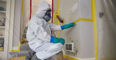 The Essential Black Mold Removal Tips - Australian Classifieds Blog Article By Toronto Radon Removal