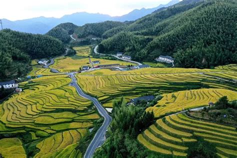 Ancient terraces in E China included on World Heritage Irrigation ...