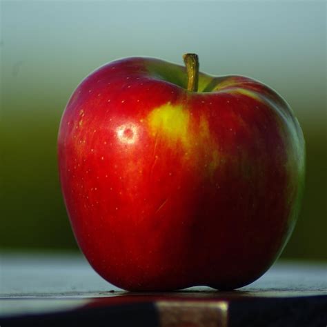 premium photo close   red apple