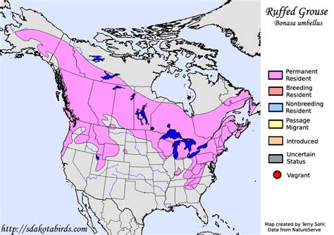 Ruffed Grouse - Species Range Map