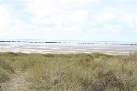 Promenade en Normandie Éléphants et pattes de mouche