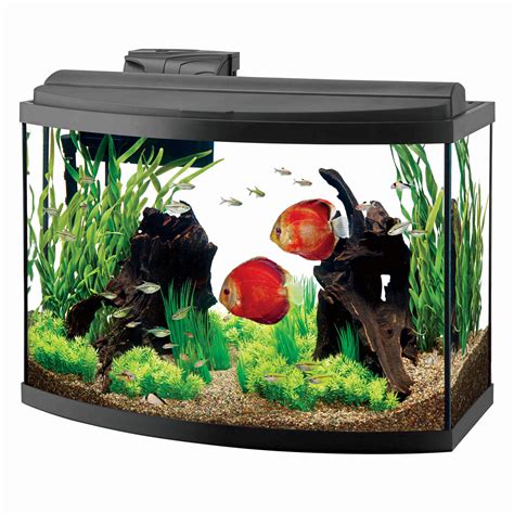 Bow Front Aquariums Aqueon