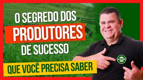 O segredo dos PRODUTORES DE LEITE de sucesso para dobrar a produção de