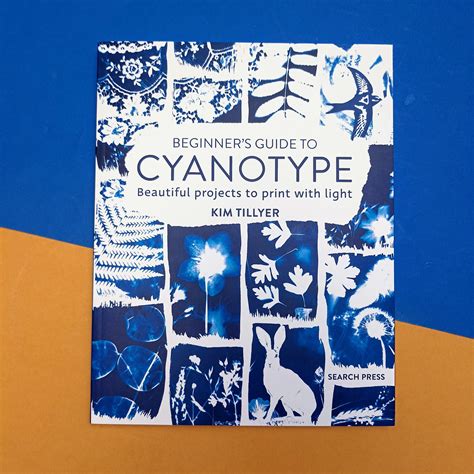 Beginners Guide To Cyanotype Spaziobk