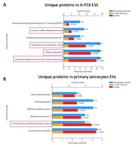 Comparative Proteomic Analysis Of Evs From Primary Astrocytes And The