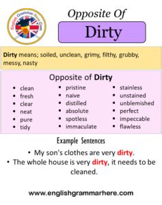 Opposite Of Dirty, Antonyms of Dirty, Meaning and Example Sentences - English Grammar Here