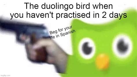 Duolingo Gun Imgflip