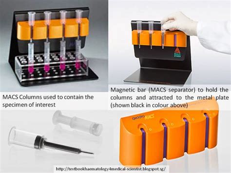 Pbmc Isolation Using The Miltenyi Biotec Macs Cell Separation