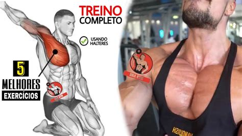 5 EXCELENTES EXERCÍCIOS PARA PEITO musculação dnagym YouTube