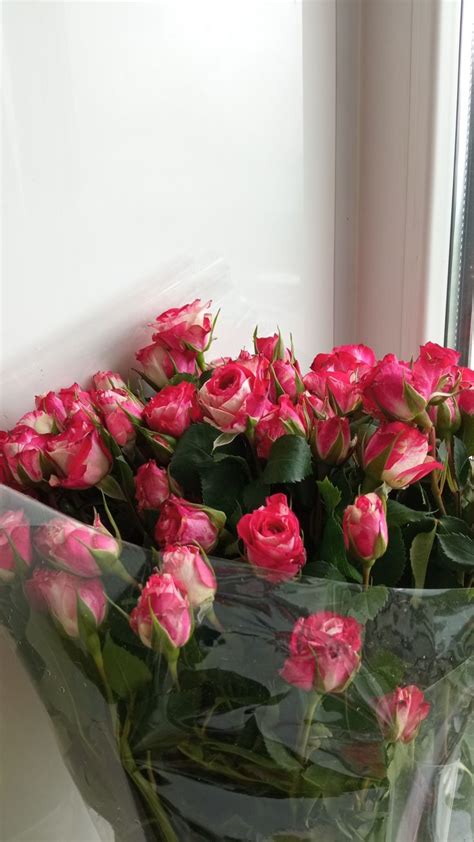 19 июня | Fiori