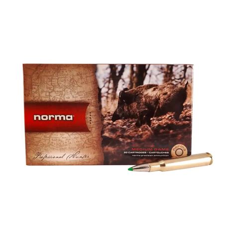 Norma Ecostrike Bleifrei Büchsenpatronen 30 06 Spring