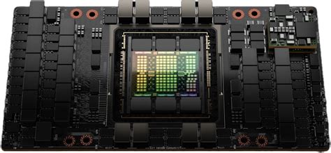 Nvidia Blackwell GB100 and GB202 GPU specs revealed by tipster ...