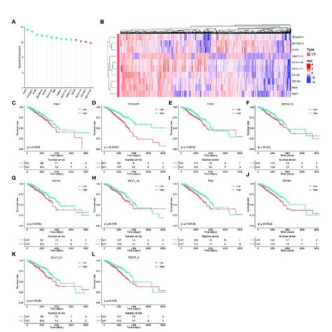 Identification Of Core Pyroptosis Related Genes And Relationship