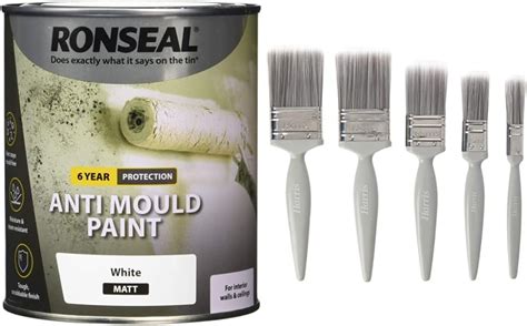 Anti Mould Paint White Ronseal Review